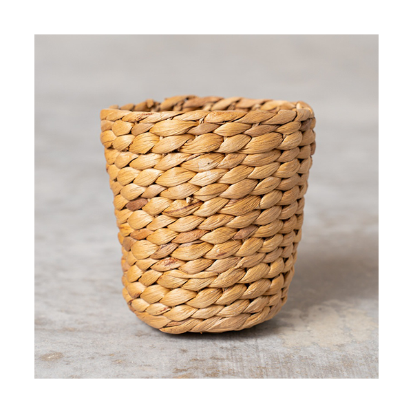 Bols de Jacinto de Agua Ø10 cm. Pack de 3